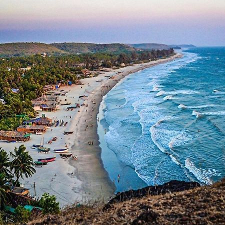 Madrid Home Goa Arambol Dış mekan fotoğraf