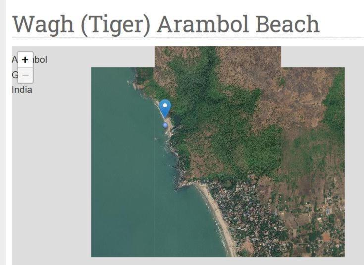 Madrid Home Goa Arambol Dış mekan fotoğraf